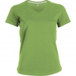 TEES_K381